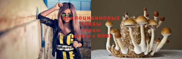 тгк Володарск