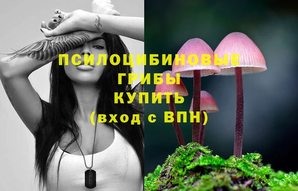 мдпв Вязники