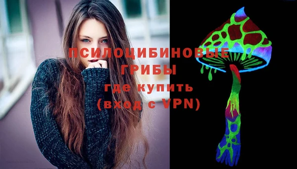СК Верея