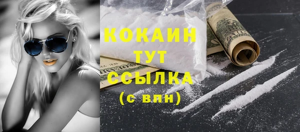 тгк Володарск